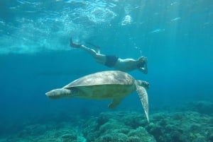 Gili Trawangan Best Snorkeling Trip With GOPRO documentation