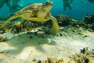 Gili Trawangan: Cycling Tour with Snorkeling and Viewpoint