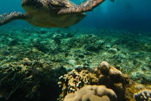 Gili Trawangan: Cycling Tour with Snorkeling and Viewpoint