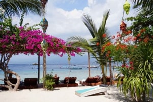 Gili Trawangan: Cycling Tour with Snorkeling and Viewpoint