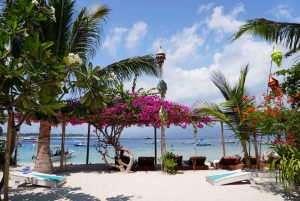 Gili Trawangan: Cycling, Viewpoint & Paddle Boarding Tour