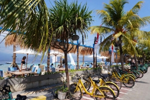 Gili Trawangan: Cycling, Viewpoint & Paddle Boarding Tour