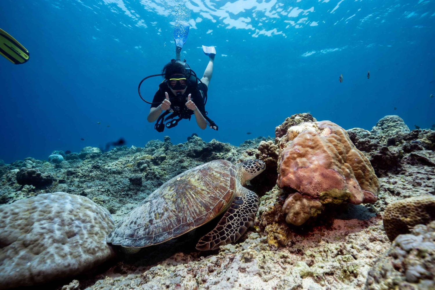 Gili Trawangan : Discovery Scuba Diving