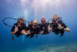 Gili Trawangan : Mergulho de descoberta em destaque