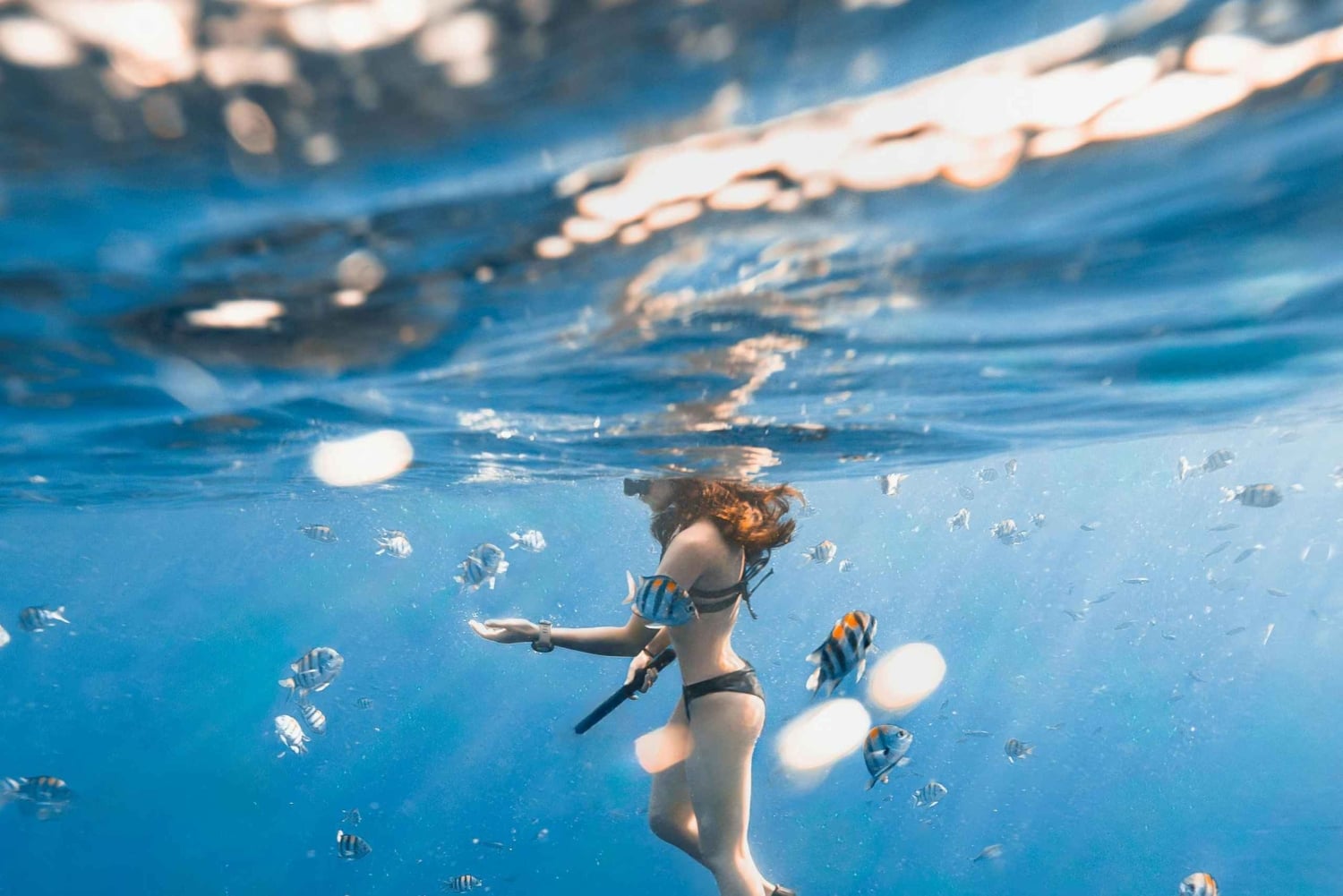 Gili Trawangan: mergulho com tartarugas de manhã cedo com GoPro