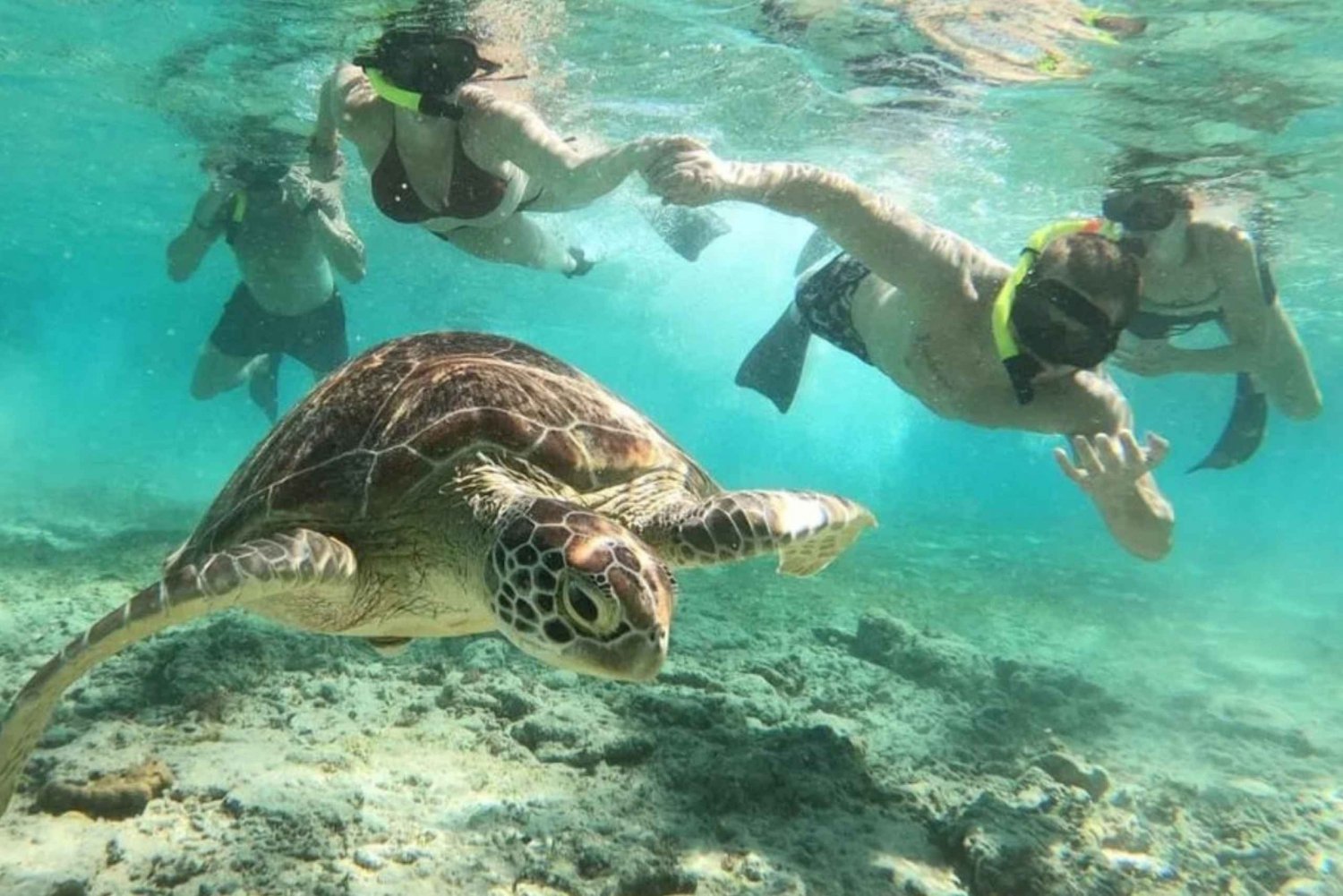 ギリ トラワンガン：ギリ島 3 つのスポット ウミガメとシュノーケリング