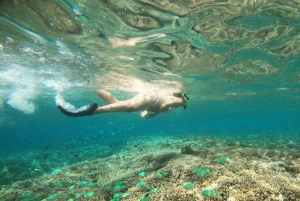 Gili Trawangan: Isola di Gili 3 punti di snorkeling con la tartaruga