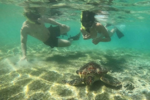 Gili Trawangan: Isola di Gili 3 punti di snorkeling con la tartaruga