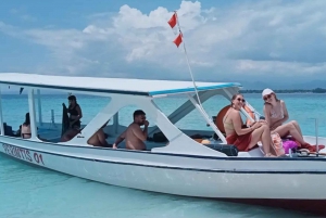 Gili Trawangan: Snorkling med skilpadde på Gili Island 3 Spots