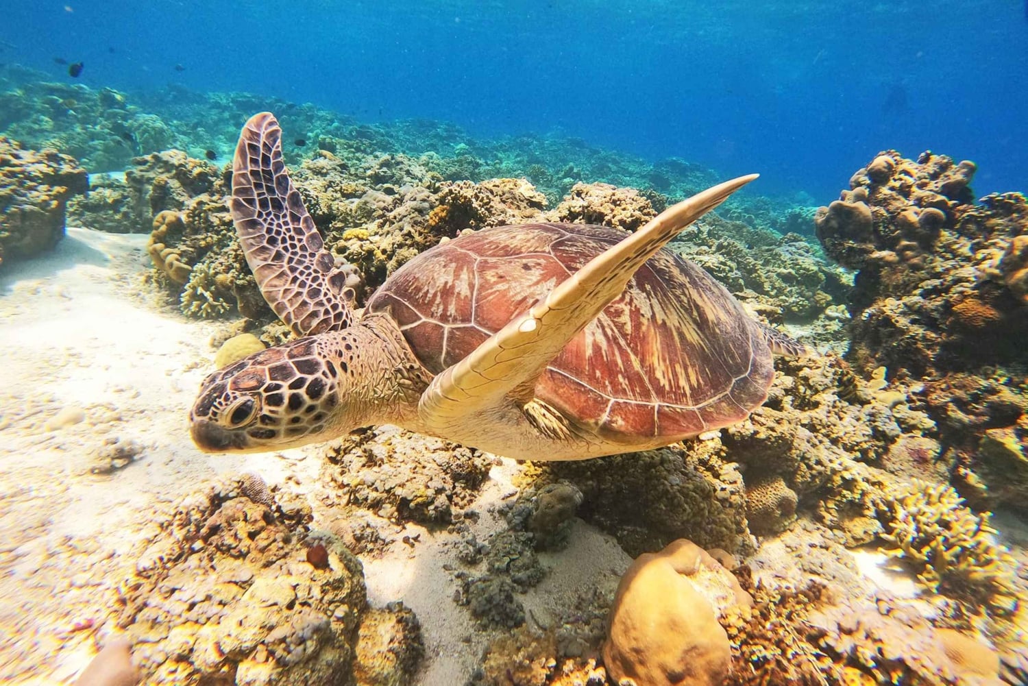 Gili Trawangan: Gili Islands Sunset Boat Tour and Snorkeling