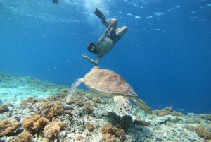 Gili Trawangan: Båttur og snorkling ved solnedgang på Gili-øyene