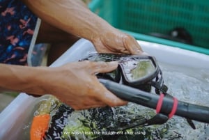 Gili Trawangan: Tour en barco y snorkel al atardecer en las islas Gili