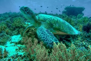 Gili Trawangan: Gili Islands Sunset Boat Tour and Snorkeling