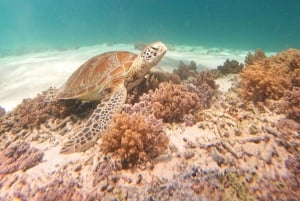 Gili Trawangan: Gili Islands Sunset Boat Tour and Snorkeling