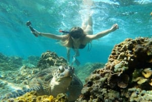 Gili Trawangan Snorkeling en groupe/en public 3 Gili's Island