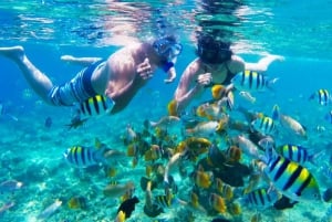 Gili Trawangan Snorkeling en groupe/en public 3 Gili's Island