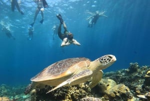 Gili Trawangan Grupo/Público Snorkeling 3 Gili's Island