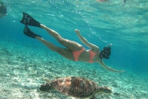 Gili Trawangan Snorkeling en groupe/en public 3 Gili's Island