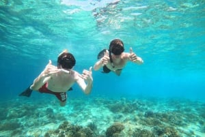 Gili Trawangan Group/Public Snorkeling 3 Wyspa Gili