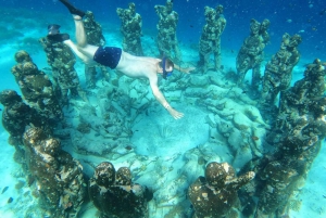 Gili Trawangan : Excursión de snorkel en grupo/público 3 Isla Gili