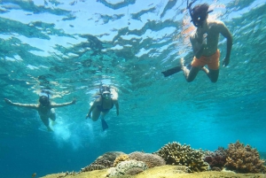 Gili saari Tour : Ryhmä/jako Snorklaaminen 3 Gili saari