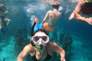 Gili Island Tour : Gruppe/deling Snorkling 3 Gili-øen