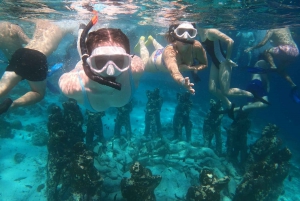 Gili Island Tour : Gruppe/deling Snorkling 3 Gili-øen