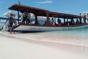 Gili Island Tour : Grupp / delad snorkling 3 Gili Island