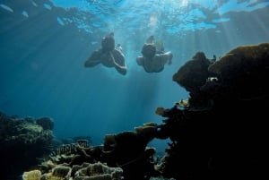 Gili Trawangan : Halvdag Snorkling med sköldpadda och staty