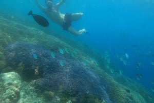 Gili Trawangan : Halbtagsschnorcheln mit Schildkröte und Statue