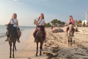 Gili Trawangan: Paseos a caballo por la playa