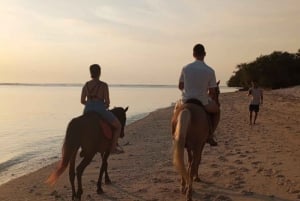 Gili Trawangan: Paardrijden op het strand