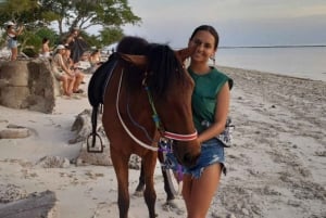 Gili Trawangan: Hesteridning på stranden