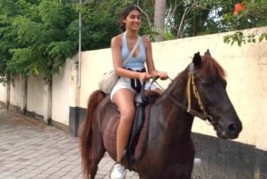 Gili Trawangan: Passeios a cavalo na praia