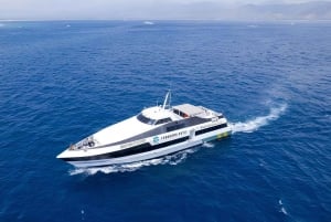 Gili Trawangan/Gili Air/Lombok: Boat Transfer to Nusa Penida