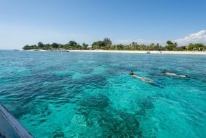 Гили-Траванган: сноркелинг на закате (частная или небольшая группа)