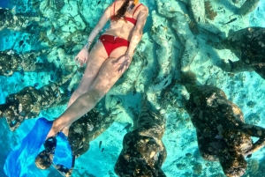 Гили-Траванган: сноркелинг на закате (частная или небольшая группа)