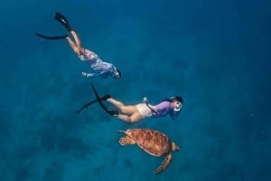 Gili Trawangan : Snorkeling privado em 4 locais com Gopro