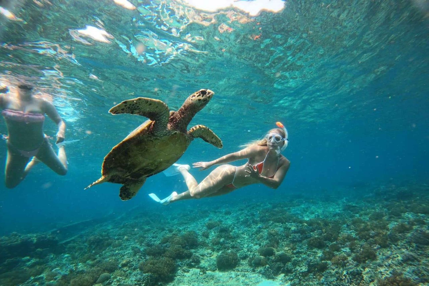 Gili-Inseln: Privates Schnorcheln an 4 Orten mit Schildkröten und GoPro