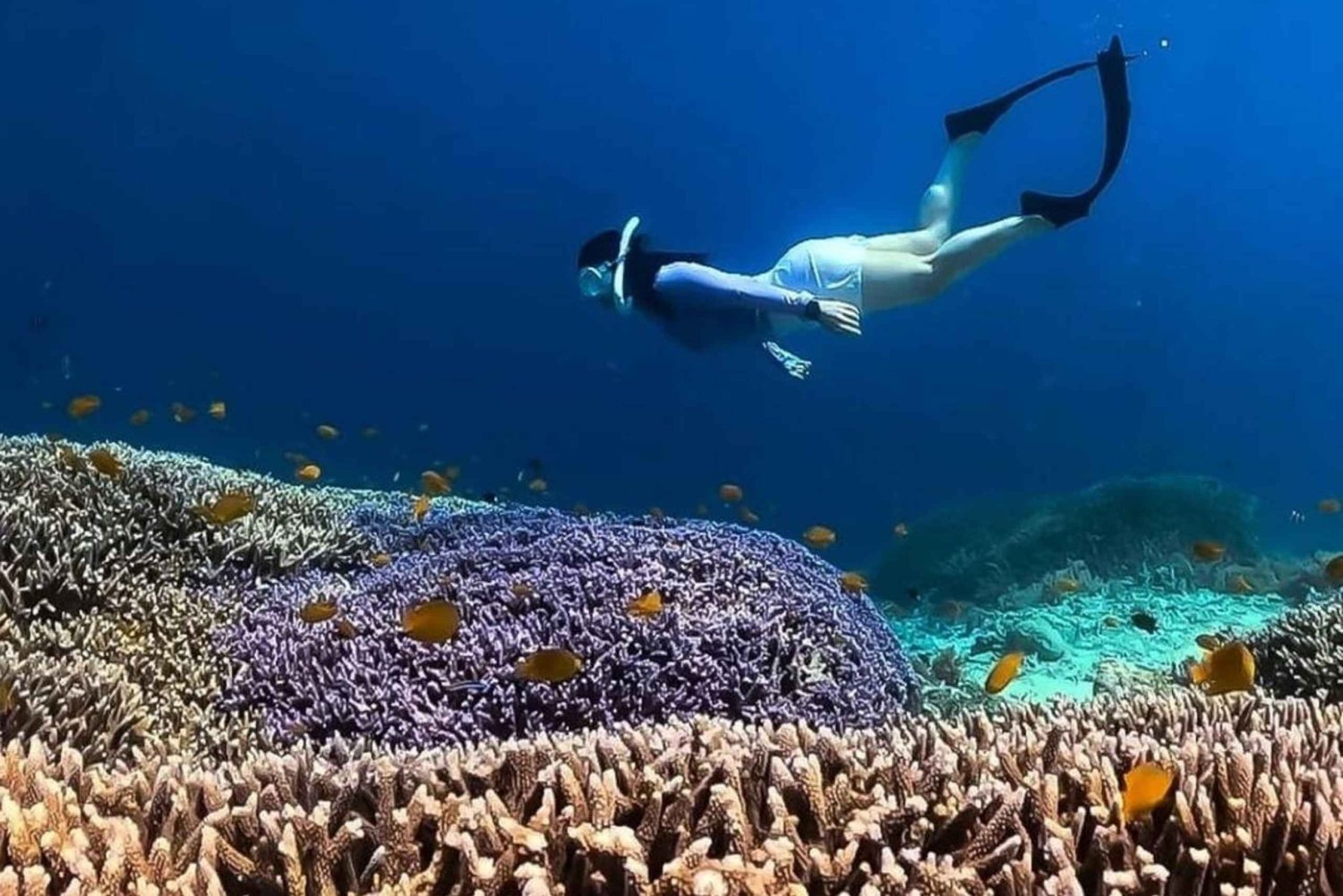 Gili-Inseln: Privates Schnorcheln an 4 Orten mit Schildkröten und GoPro