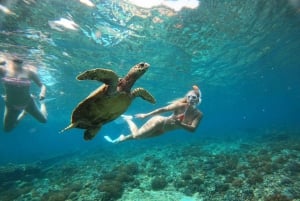 Gili-Inseln: Privates Schnorcheln an 4 Orten mit Schildkröten und GoPro