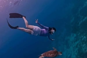 Gili-Inseln: Privates Schnorcheln an 4 Orten mit Schildkröten und GoPro