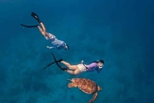 Gili-Inseln: Privates Schnorcheln an 4 Orten mit Schildkröten und GoPro