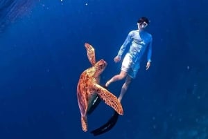 Gili-Inseln: Privates Schnorcheln an 4 Orten mit Schildkröten und GoPro