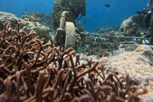 Gili-Inseln: Privates Schnorcheln an 4 Orten mit Schildkröten und GoPro