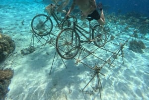 Gili-Inseln: Privates Schnorcheln an 4 Orten mit Schildkröten und GoPro