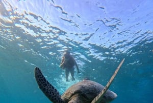 Gili-Inseln: Privates Schnorcheln an 4 Orten mit Schildkröten und GoPro