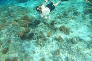 Gili Trawangan: Privates Schnorcheln (Korallen, Statuen, Schildkröten)