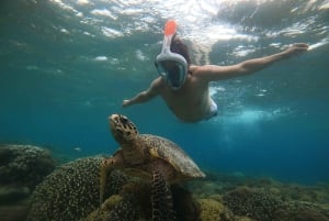 Gili Trawangan: Privates Schnorcheln (Korallen, Statuen, Schildkröten)