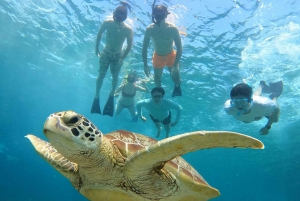 Gili Trawangan : Tour privato di snorkeling all'alba e al tramonto